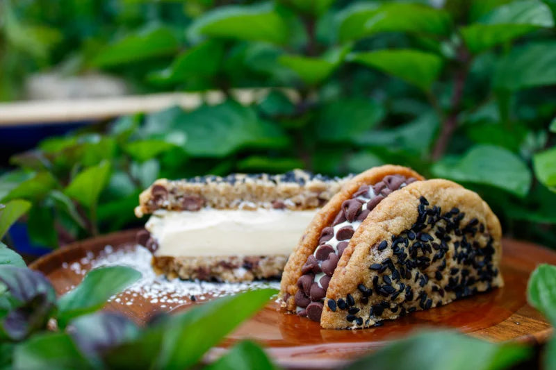 Aubergine dessert photographed among greenery